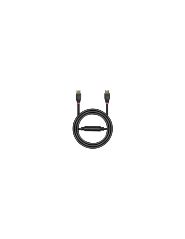 Lindy 41073 cable HDMI 20 m HDMI tipo A (EstÃ¡ndar) Negro