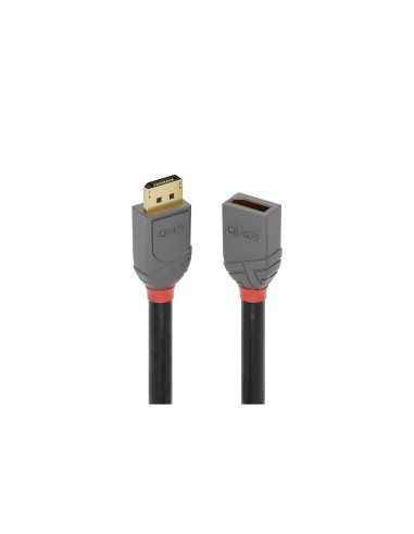 Lindy 36497 cable DisplayPort 2 m Negro