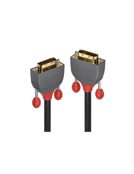 Lindy 36222 cable DVI 2 m DVI-D Negro