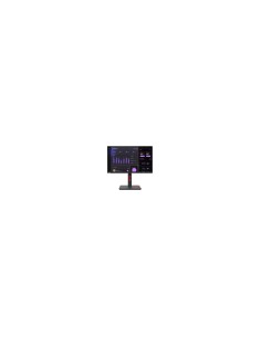 Lenovo ThinkVision T24i-30 23.8" Full HD Negro Monitor 2