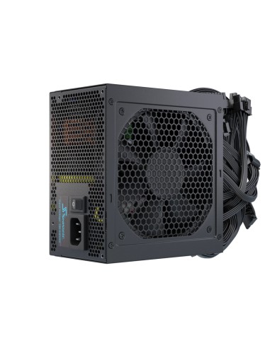 Seasonic Netzteil 650W G12 GC-650 80+Gold unidad de fuente de alimentaciÃ³n