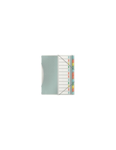 Esselte 626256 lengÃ¼eta de Ã­ndice Separador en blanco con pestaÃ±a Polipropileno (PP) Multicolor