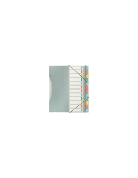 Esselte 626256 lengÃ¼eta de Ã­ndice Separador en blanco con pestaÃ±a Polipropileno (PP) Multicolor