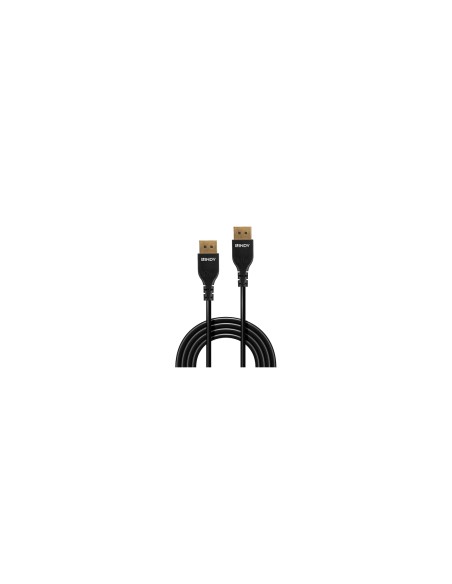 Lindy 36462 cable DisplayPort 2 m Negro