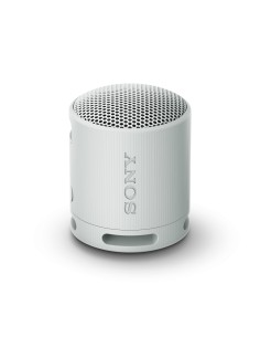 Sony SRS-XB100 Altavoz monofÃ³nico portÃ¡til Gris