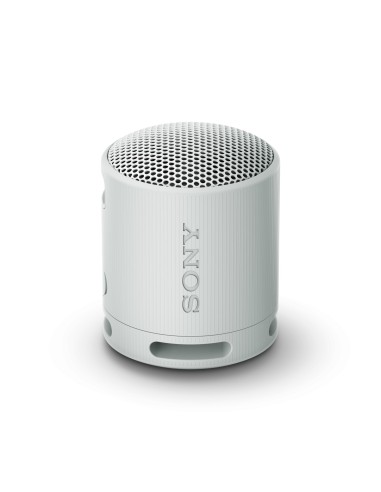 Sony SRS-XB100 Altavoz monofÃ³nico portÃ¡til Gris