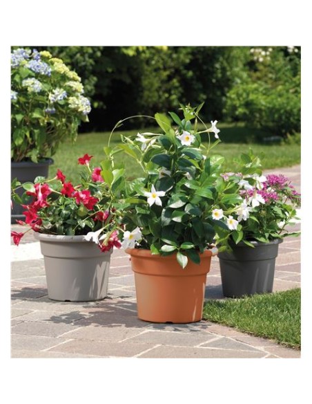 MACETA REDONDA DIAMETRO 30CM TERRACOTA ARTPLAST