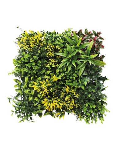 JARDIN VERTICAL 50X50CM SERIE GREENWALL SUNGARDEN