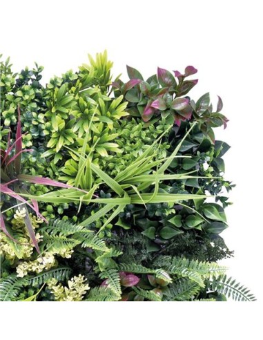 JARDIN VERTICAL 50X50CM SERIE ARBÃ“REA SUNGARDEN