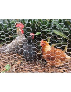 MALLA GALLINERO HEXAGONAL 19X0.7MM 1X50 METROS SUNGARDEN 2