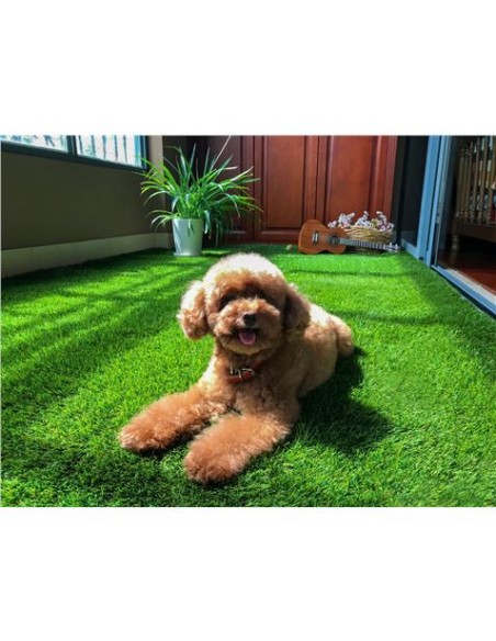 CESPED ARTIFICIAL 2X5 METROS 20MM SERIE ELEGANT SUNGARDEN