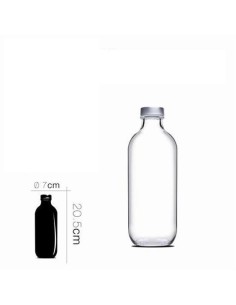 BOTELLA DE CRISTAL ICONIC 0.5 LITROS PASABAHCE