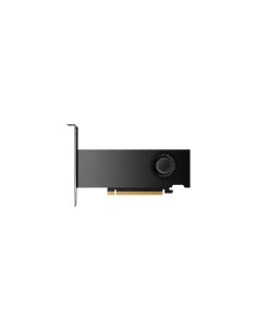 PNY NVIDIA RTX 2000 Ada Generation 16 GB GDDR6