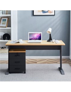 MESA DE ESCRITORIO MS700 140X70X75CM + CAJONERA MUVIP 2