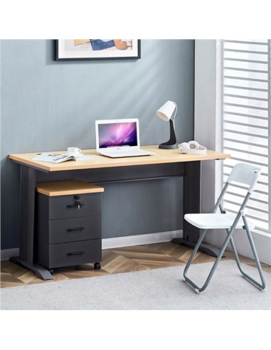 MESA DE ESCRITORIO MS700 140X70X75CM + CAJONERA MUVIP